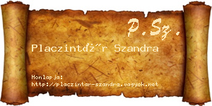 Placzintár Szandra névjegykártya